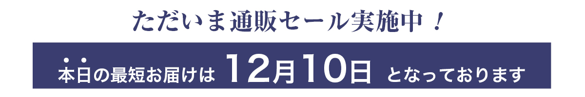 通販セール最短着日指定
